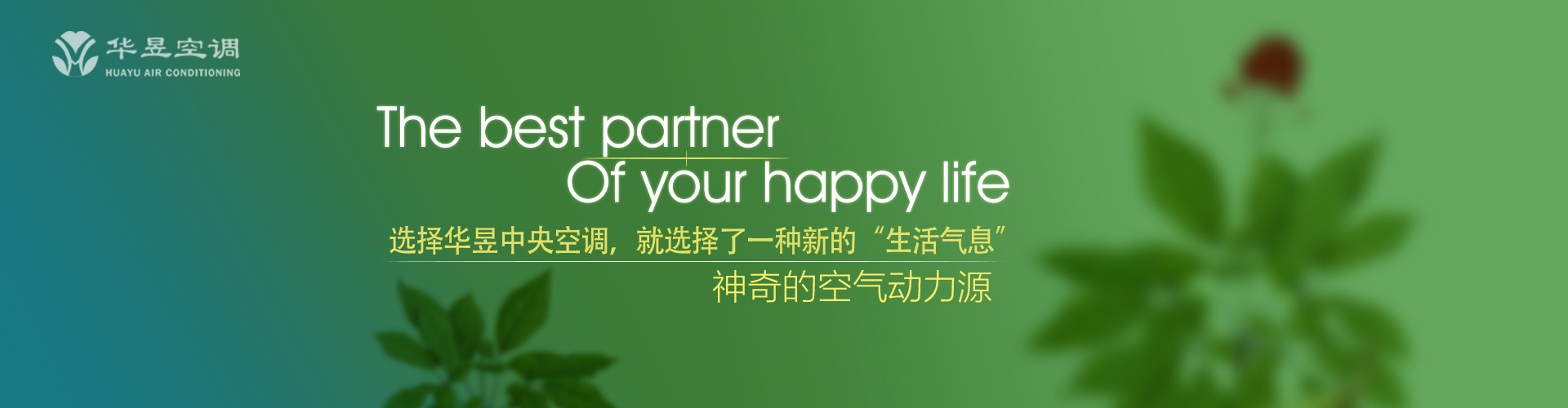 为民请命网